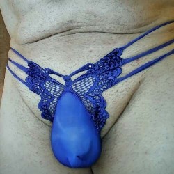 Lid