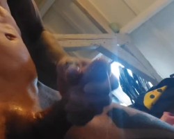 VID-20250315-WA0013