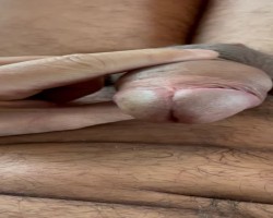 IMG_3981
