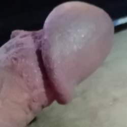 Lid