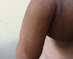 fotoalbum
