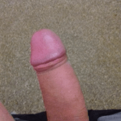 Lid