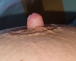fotoalbum