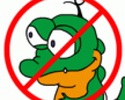 Zij