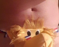 mijn foto's