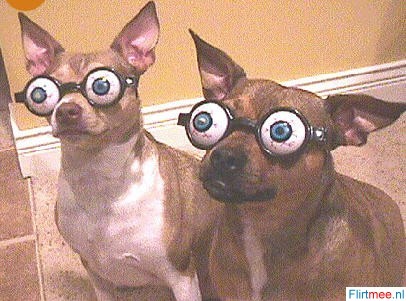 <p>hehe zouden me honden wel kenne weze!!</p>