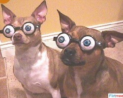 hehe zouden me honden wel kenne weze!!